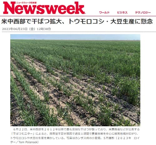 2023年6月23日 Newsweekへのリンク画像です。
