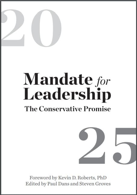 Project 2025へのリンク画像です。