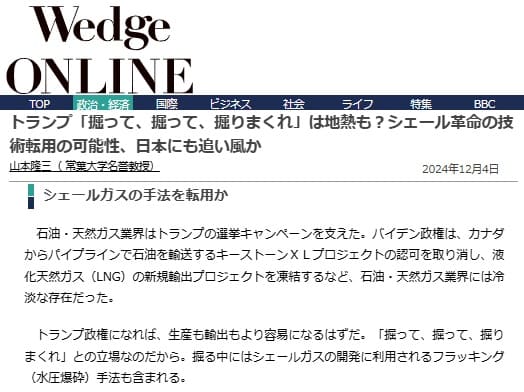 2024�N12��4�� Wedge ONLINE�ւ̃����N�摜�ł��B