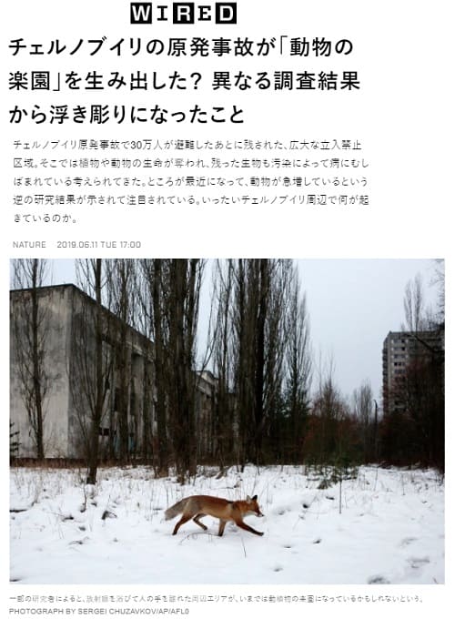 2019�N6��11�� WIRED�̃����N�摜�ł��B